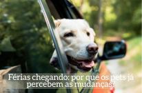 As férias são maravilhosas, mas para muitos pets o período pré-viagem pode gerar ansiedade e estresse. Mudanças de rotina, transporte e até nossas emoções influenciam diretamente o comportamento deles. Preparar o emocional do pet é tão importante quanto organizar as malas ✨🐾 💬 Você já percebeu mudanças no seu pet antes de viajar?
